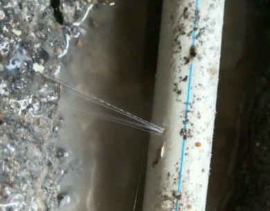 宾阳测漏水哪家好