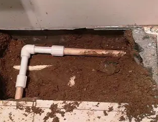 宾阳测漏水哪家好