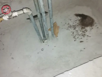 宾阳卫生间测漏水价格明细