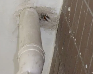 宾阳漏水检测哪家好